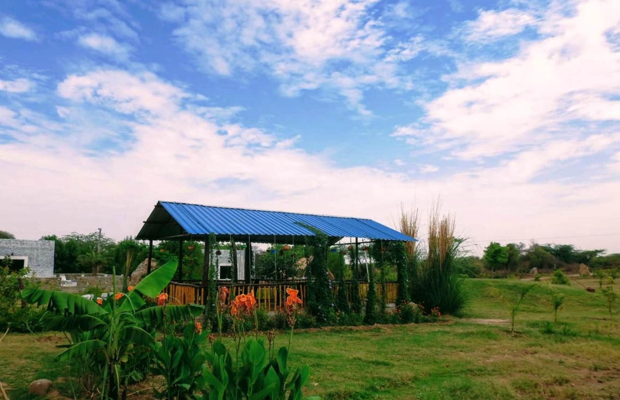 Jawai Wildlife Safari Camp Bed & Breakfast Nana Bagian luar foto