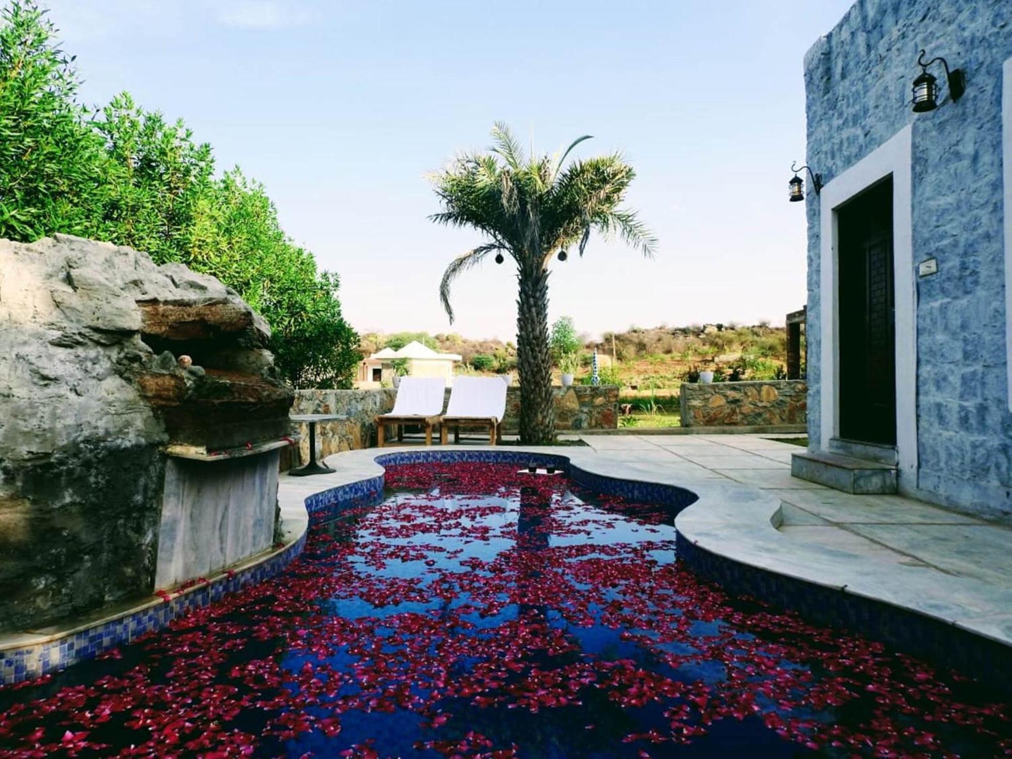 Jawai Wildlife Safari Camp Bed & Breakfast Nana Bagian luar foto